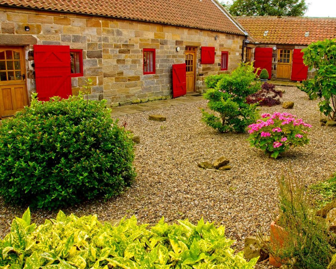 Sebright Cottage, Borrowby Farm Cottages Staithes Exterior photo